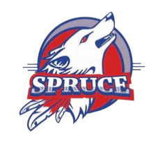 H GRADY SPRUCE HIGH SCHOOL